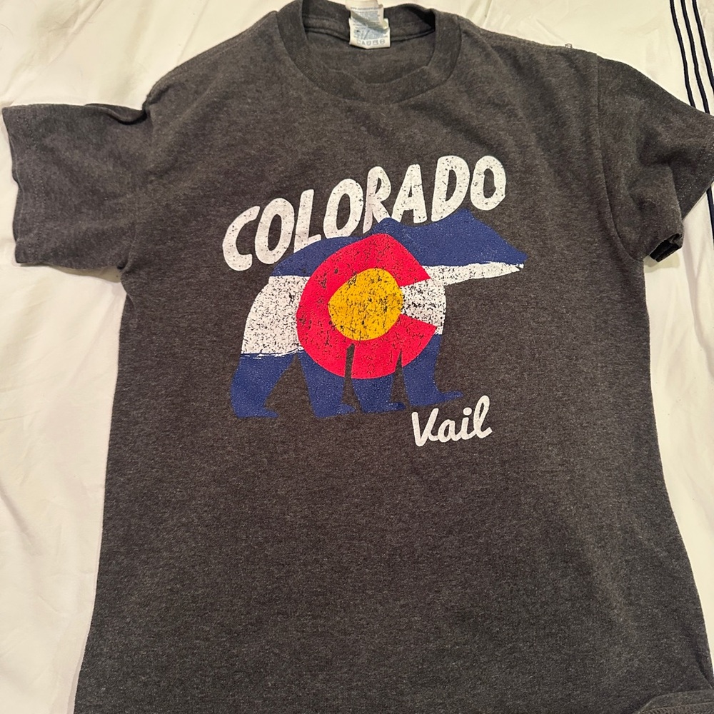 Gray Colorado Vail T-Shirt with Bear Graphic